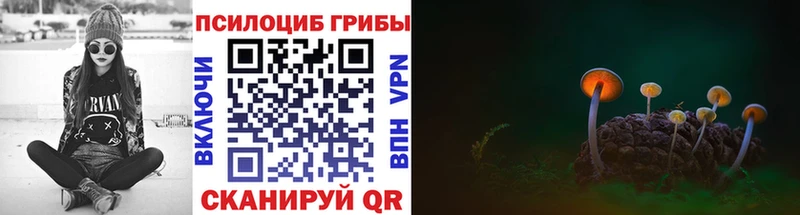 Купить закладки  Шиханы  Псилоцибиновые грибы Cubensis 